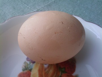 Slepičí vejce - obrázek č. 1