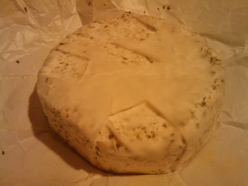 Plísňový sýr - obrázek č. 1