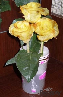 Růže z brambory - obrázek č. 8
