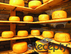 Tvrdý sýr - obrázek č. 1
