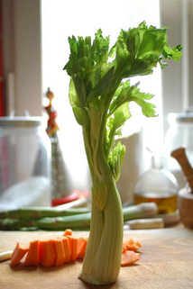 Celerová nať - obrázek č. 2