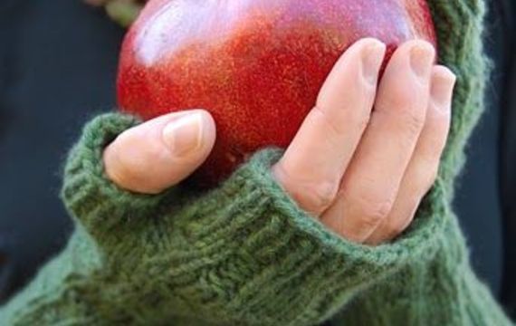 Zázračné granátové jablko aneb Co jsme o něm nevěděli