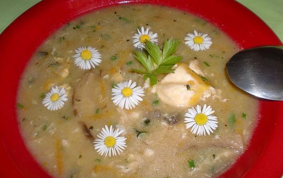 Jarní sedmikrásková polévka