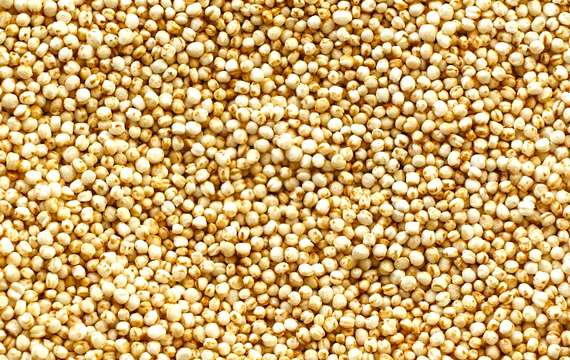 Quinoa - často opomíjená potravina