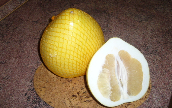 Pomelo - obr mezi citrusy