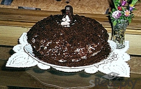 Fotka pro krtkův dort 