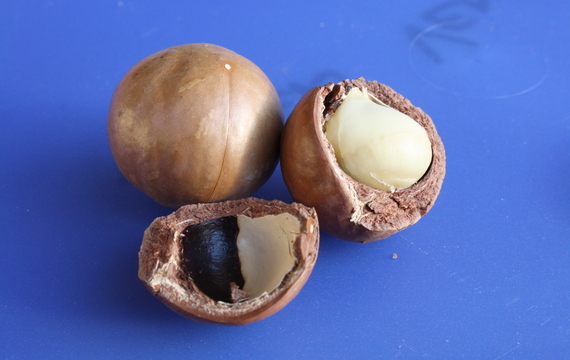 Makadamové ořechy v kuchyni