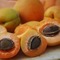 Meruňkový kompot s peckami