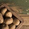 Bombajské brambory s fazolkami