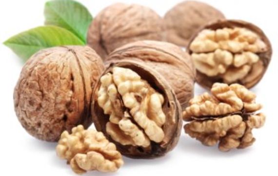 Vlašské ořechy a jejich využití