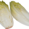 Čekankový salát