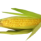 Polévka z kukuřice