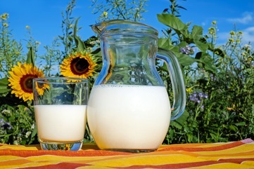 slunečnicové mléko
