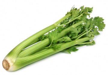Celer - obrázek č. 1