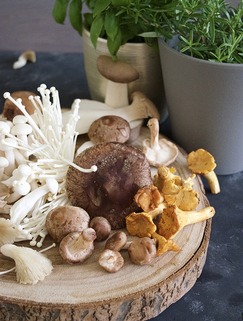 Asijské houby v kuchyni - obrázek č. 1