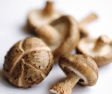 Asijské houby v kuchyni - obrázek č. 5
