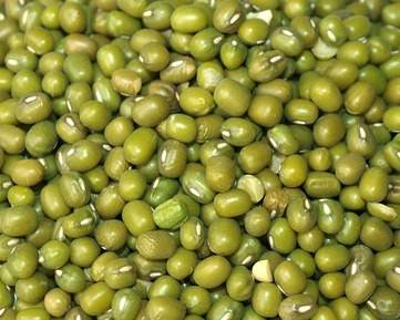 Fazolky (zelené fazolové lusky) - obrázek č. 2