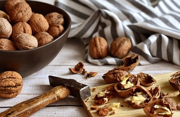 Vlašské ořechy: Potravina, která rozhodně stojí za vaši pozornost
