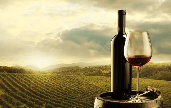 Naučte se vybrat víno, které podtrhne chuť vašeho jídla a dodá mu tu správnou tečku