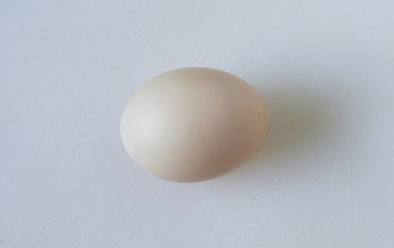 Kachní vejce