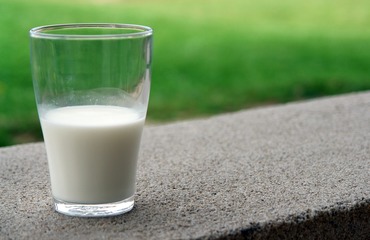 Výrobky z kozího mléka, proč bychom je měli jíst?