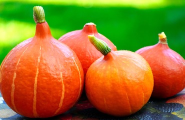 8 potravin, které vám v průběhu podzimu dodají nejvíce živin