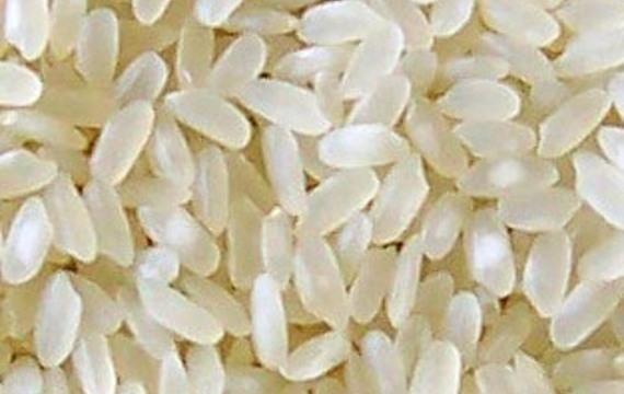 Krátkozrnná rýže