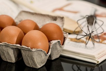Podle čeho si vybrat slepičí vajíčka? - obrázek č. 1