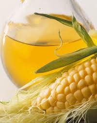Kukuřičný olej - obrázek č. 1