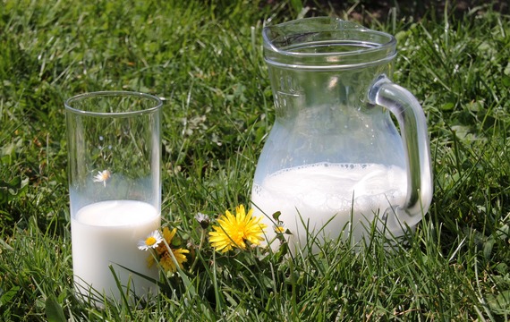 Trápí vás alergie na kravské mléko? Vyzkoušejte tyto 4 alternativy