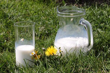 Trápí vás alergie na kravské mléko? Vyzkoušejte tyto 4 alternativy - obrázek č. 1