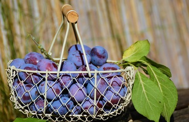 Podzimní ovoce, které se postará o vaše zdraví