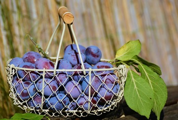 Podzimní ovoce, které se postará o vaše zdraví - obrázek č. 3